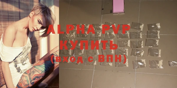 амф Ладушкин
