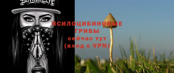 стафф Алексин
