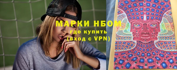 стафф Алексин