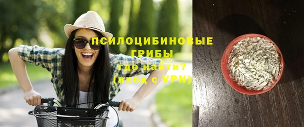 тгк Алзамай
