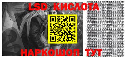 гидропоника Камышлов