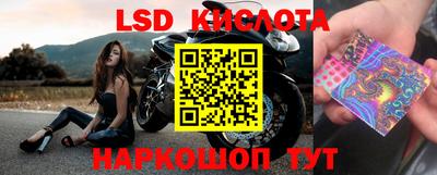 МДПВ Кингисепп