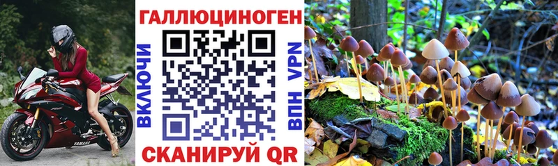 цена наркотик  Красноярск  Псилоцибиновые грибы мицелий 