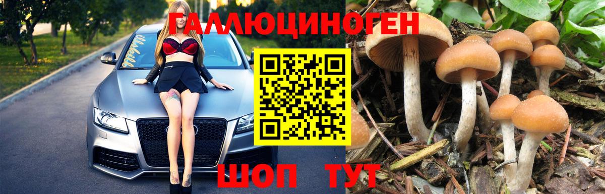 цена наркотик  Галлюциногенные грибы MAGIC MUSHROOMS  Вход с VPN  Псилоцибиновые грибы мицелий  Красноярск 