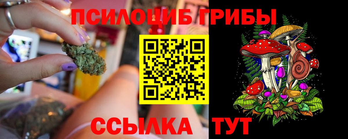 Галлюциногенные грибы мицелий Красноярск